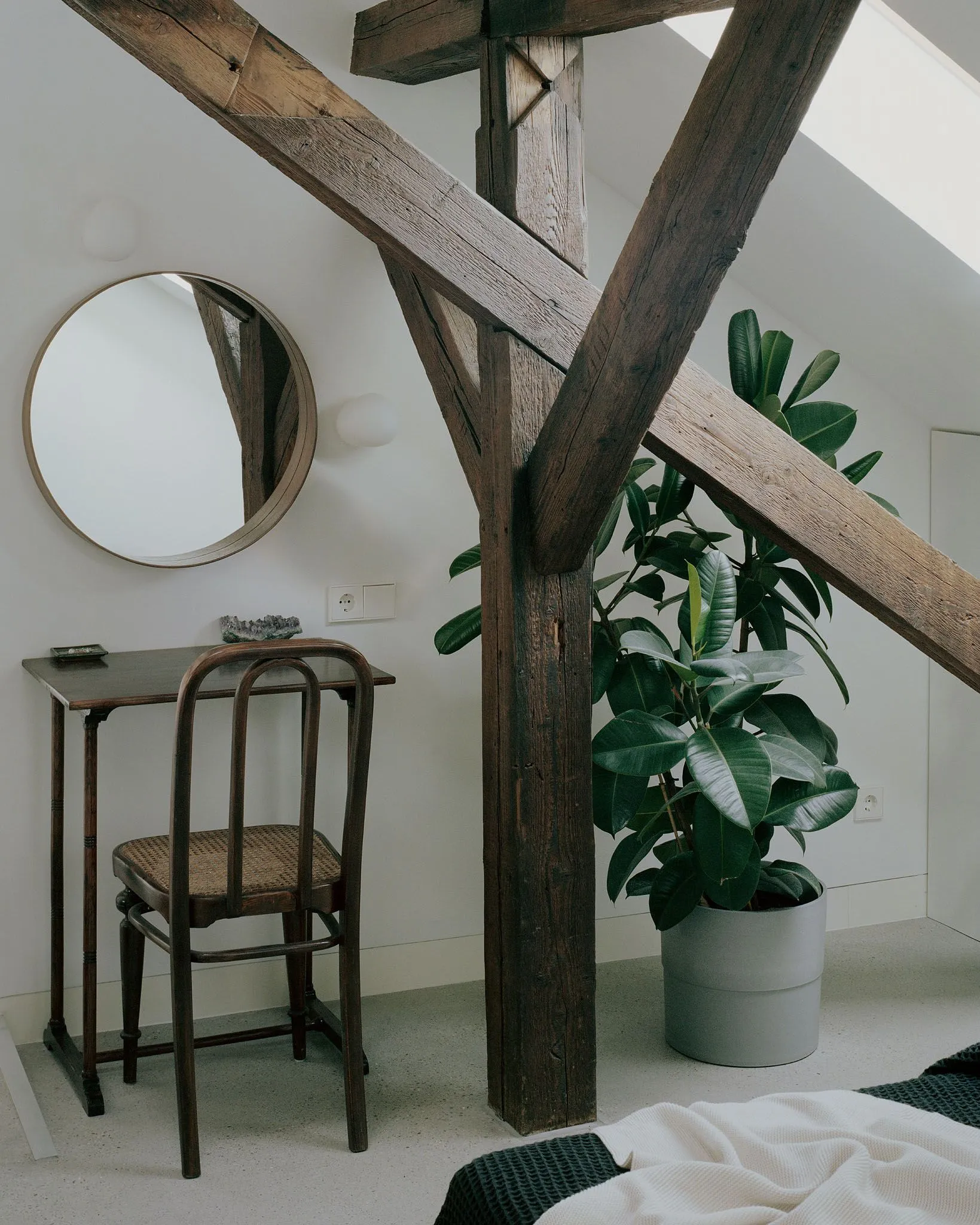 Gallery 7