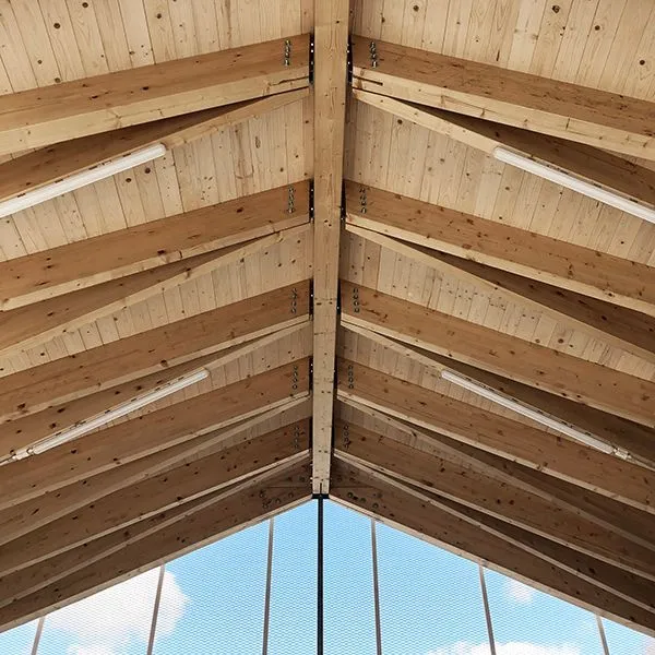 Gallery 7