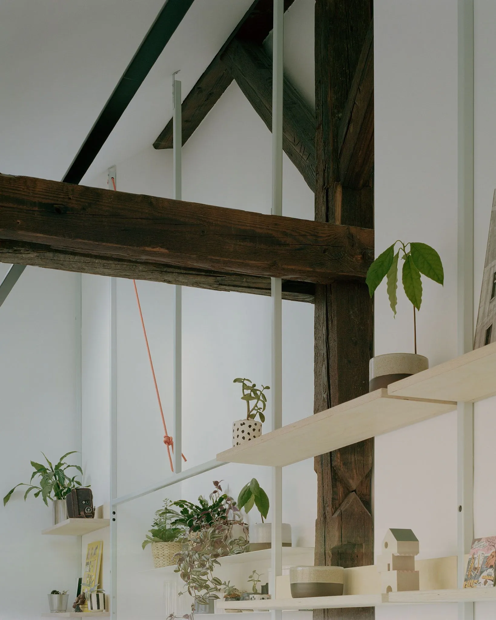 Gallery 15