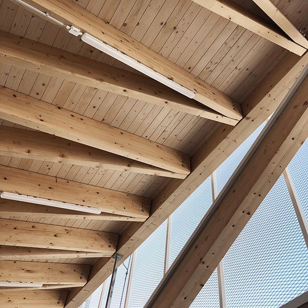 Gallery thumbnail 10