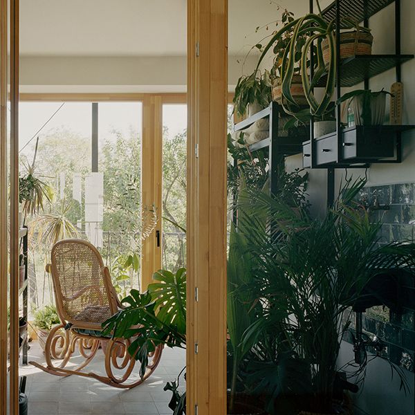 Gallery thumbnail 19